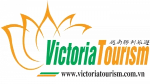 logo-vic-1-1400x788-1 (1)